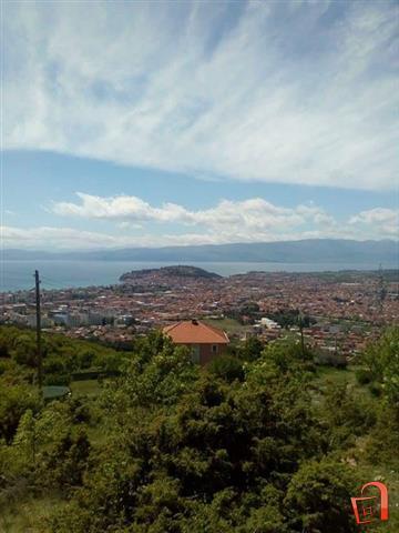 Villa & Apartments Petkoski Ohrid Buitenkant foto